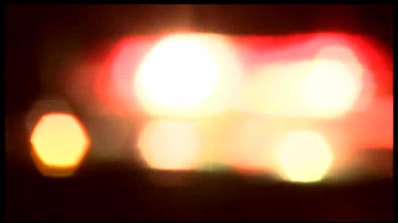 30 goats perished in the fire, which was called in by the property owners at about 1:30 a.m....