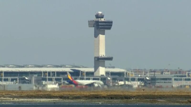 FILE - The pilot radioed air traffic control in Boston and said that a horse on board had...