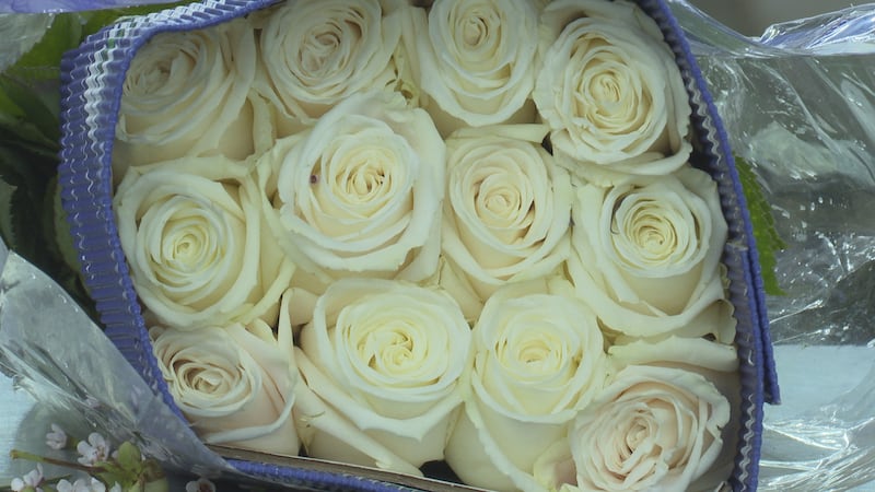 White roses from Krueger Wholesale Florist Inc.