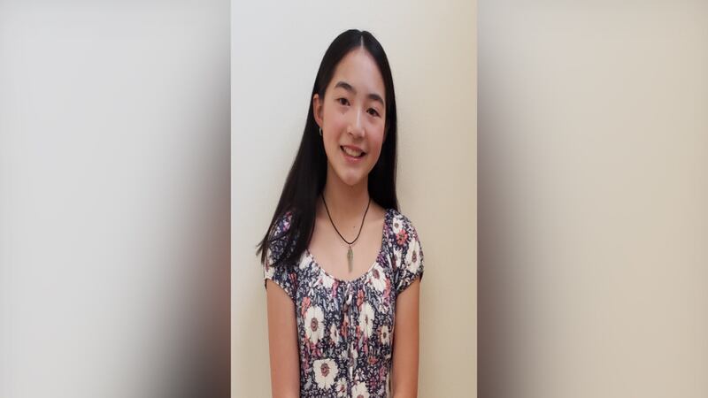 The Chippewa Valley Symphony Orchestra announced its Young Artist Competition winner on Saturday.