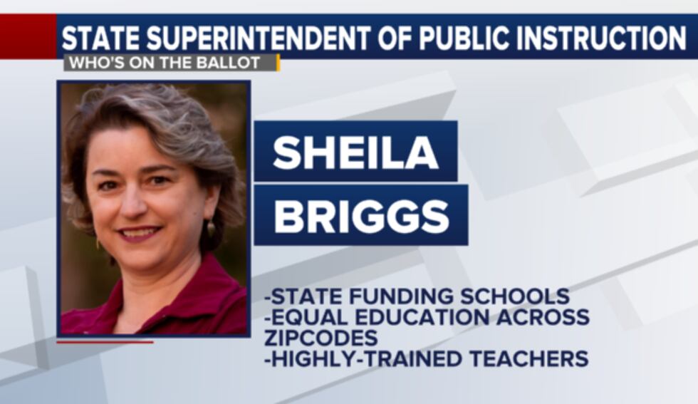 Sheila Briggs
