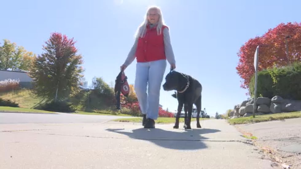 Cheri Sloniker has had her service dog for more than seven years.