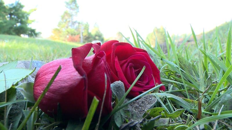 2 teenage girls, ages 14 and 15, were killed in a rollover crash on Monday, Oct. 10.