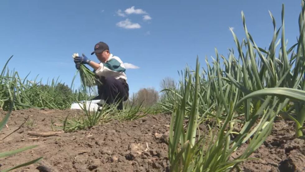 At 57, Peempheej Lee is uncertain about the future of farming in his family. His adult...