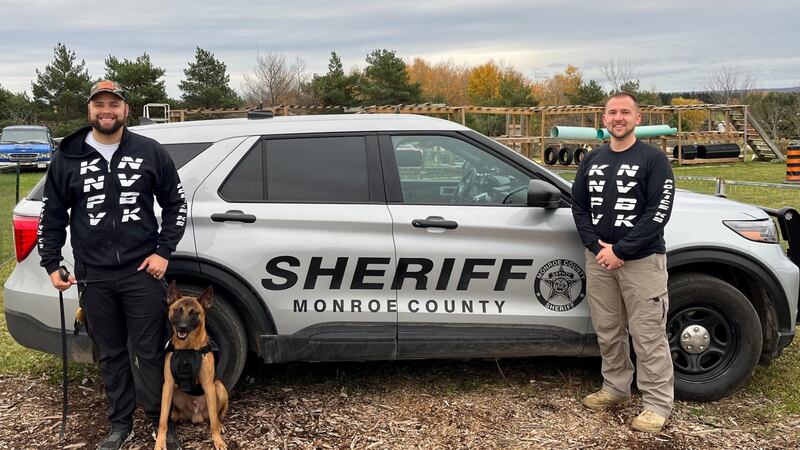 K-9 Rebel