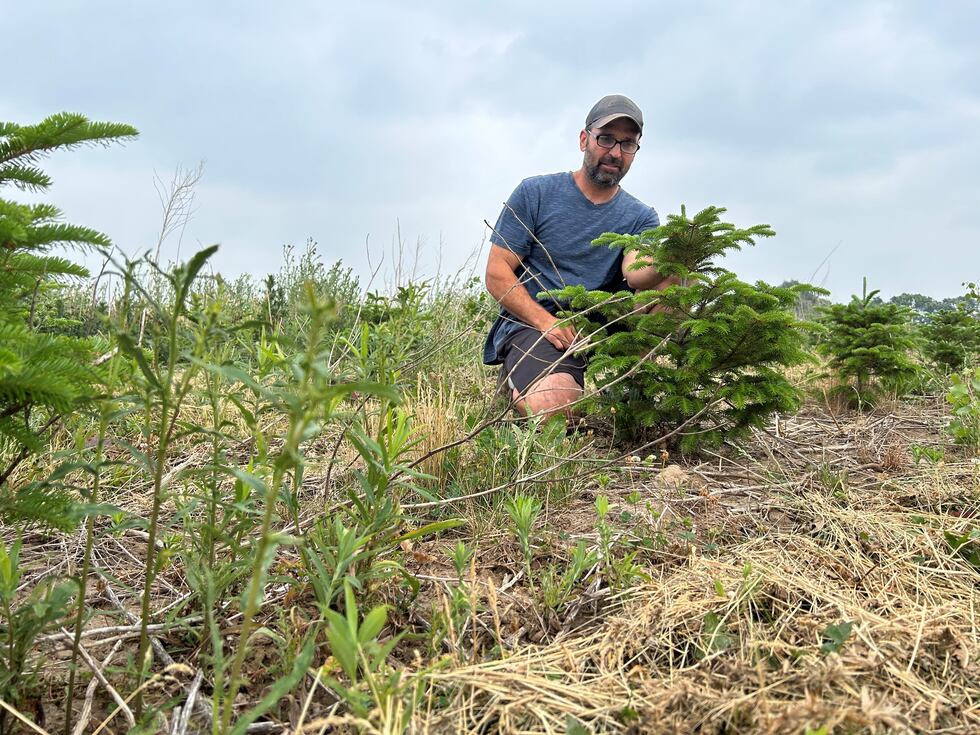 Chris Kirsch is the owner of Enchanted Valley Acres in Cross Plains.